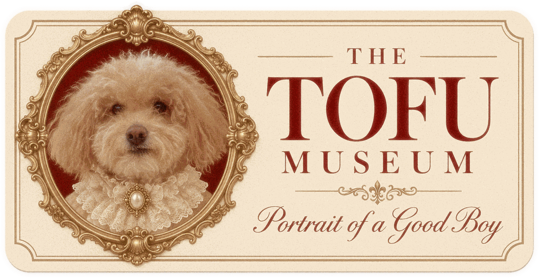 The Tofu Museum. Portrait of a Good Boy. Tofu in a lace collar and pearl brooch inside an ornate gold oval frame.